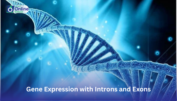 Lesson 21: Relation of Gene Expression with Introns and Exons